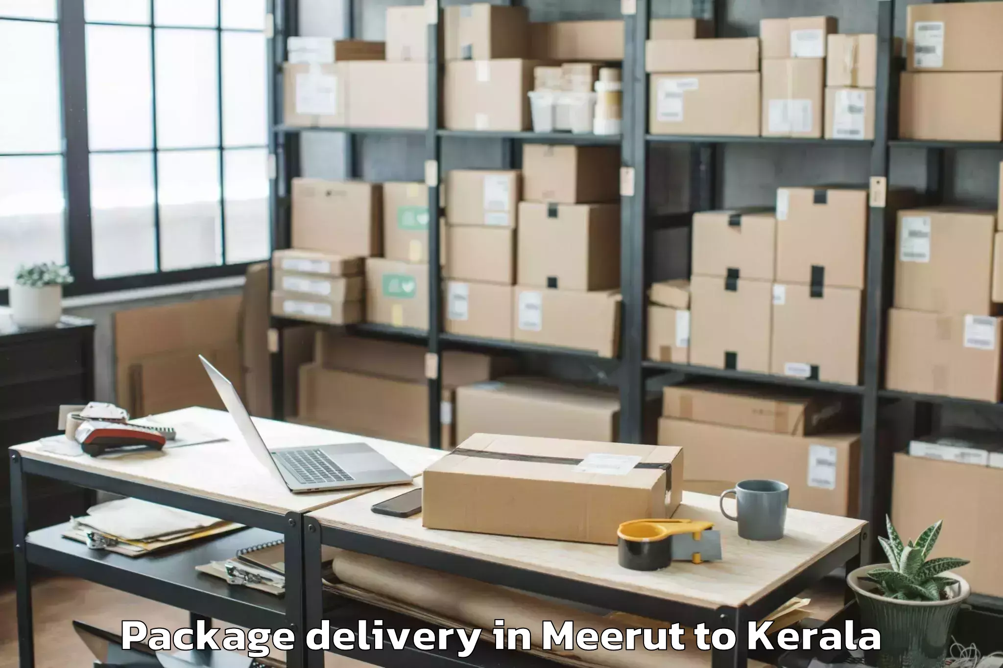 Top Meerut to Central University Of Kerala K Package Delivery Available